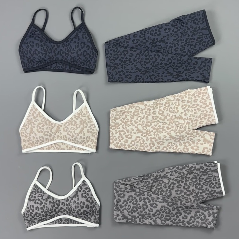 2-delige yogaset dames luipaar - Pilates Yoga Kit recensie en prijs